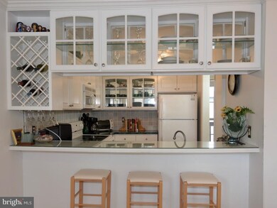 300 Henlopen Station unit 306C, Rehoboth Beach, DE 19971 - photo 6