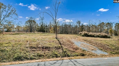 0 Bridge View Ct unit 622664, Newberry, SC 29127 - photo 4