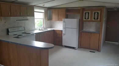 139 Goughes Branch Rd, Leicester, NC 28748 - photo 6