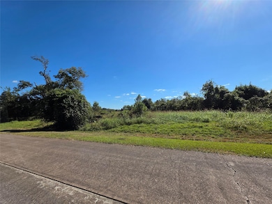 0 Wagon Wheel Trail unit 20641134, Angleton, TX 77515 - photo 3