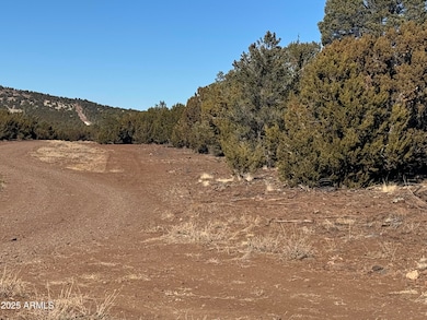 #5 Skyline Ranch -- unit 5, Vernon, AZ 85940 - photo 3