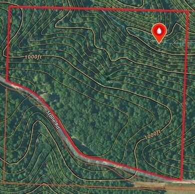 1619a Farm Road Sw4381, Noel, MO 64854 - photo 6