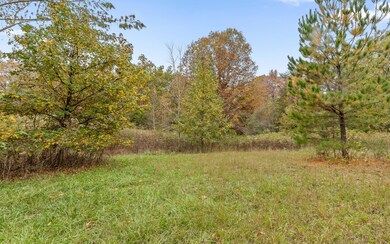 2929 Battles Way, Signal Mountain, TN 37377 - photo 4