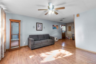 209 Easy St, Chaffee, MO 63740 - photo 7