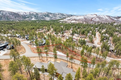 72 Cabin Creek Dr, Durango, CO 81301 - photo 2