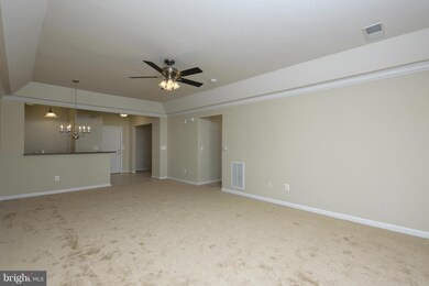 7325 Brookview Rd unit 301, Elkridge, MD 21075 - photo 6