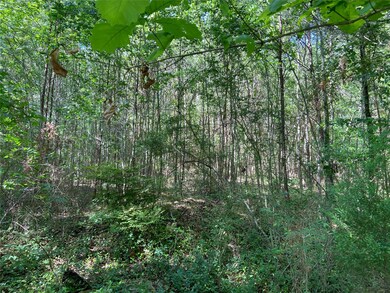 21195 Carter Rd, Splendora, TX 77372 - photo 2