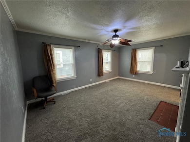 Spacious Living Roon with new carpet