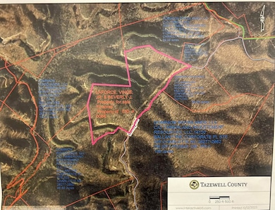 TBD Bandy Rd Whitaker Ridge Area, Bandy, VA 24602 - photo 3