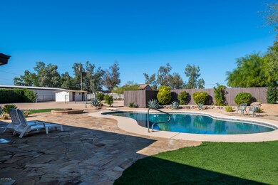 Patio / Backyard