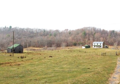 793 Coffeytown Rd, Vesuvius, VA 24483 - photo 3