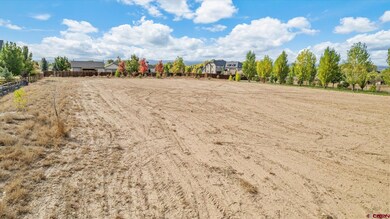 Lot 2 Nectar Ct, Montrose, CO 81403 - photo 6