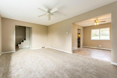 pic1