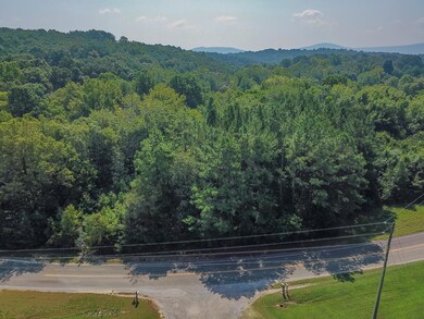 193 Highway, Chickamauga, GA 30707 - photo 2