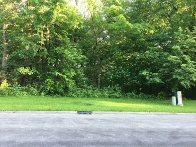 7216 Roberts Ct, Oswego, IL 60543 - photo 6