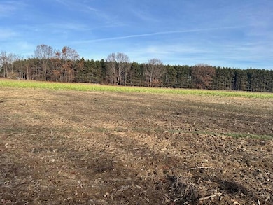 0 Seymour Rd unit Parcel D, Grass Lake, MI 49240 - photo 2