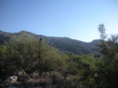 Ventana Canyon Views