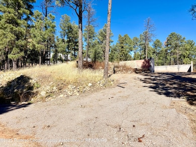 111 Pine Cone Ln, Alto, NM 88312 - photo 2
