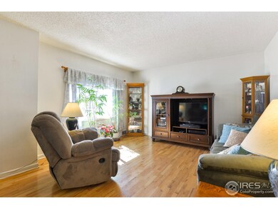 Beautiful Wood Floors