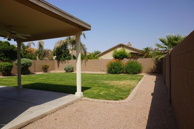 Backyard 2