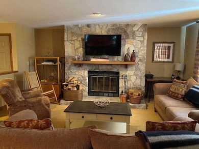 4E Northbrook Village Rd unit B21, Dover, VT 05356 - photo 7