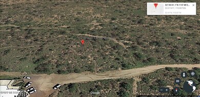 Yucca aerial earth