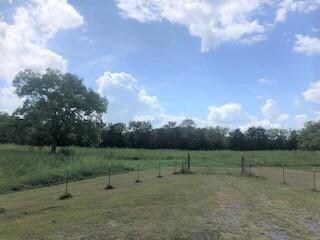 0 Ernest Campbell Rd unit 2074425, Shelbyville, TN 37160 - photo 4