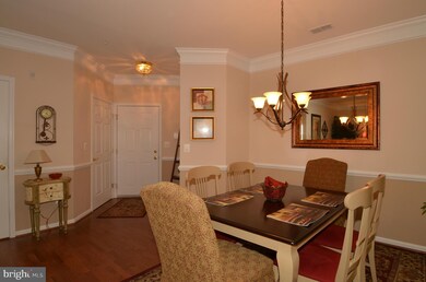 7815 Oxford Dr unit D, Elkridge, MD 21075 - photo 5