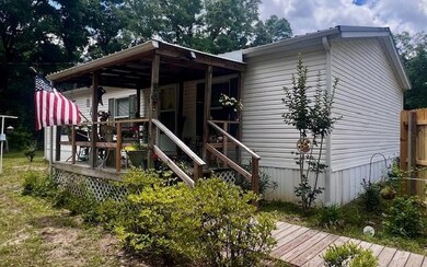 6669 NW 36th Ln, Bell, FL 32619 - photo 5