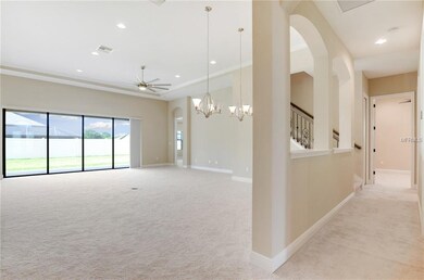 Tons of Natural Light/Double Pane Windows!