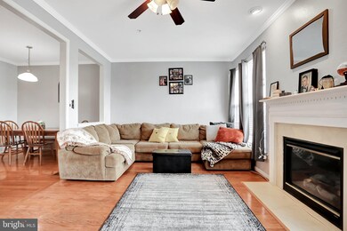 133 Fiona Way, Knoxville, MD 21758 - photo 7