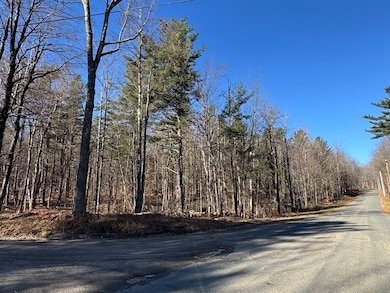 0 E Hawley Rd unit 73456358, Charlemont, MA 01339 - photo 6