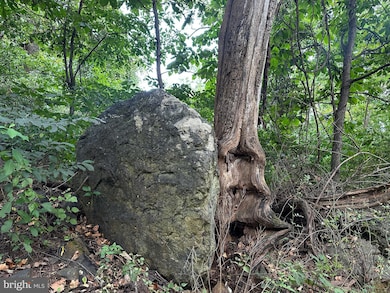 0 Blue Ridge Mountain Rd unit VALO2105128, Paris, VA 20130 - photo 5