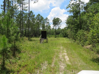 0 Cooks Landing Rd unit 24656434, Quincy, FL 32351 - photo 2