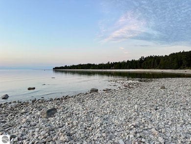 TBD Mrs Reddings Trail, Beaver Island, MI 49782 - photo 6