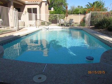 BACKYARD 2
