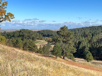 Lot 34 Prairie View Rd unit Dakota Highland Esta, Whitewood, SD 57793 - photo 6