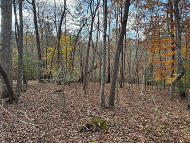 Lot 99 Acella Ct, Ellijay, GA 30540 - photo 4