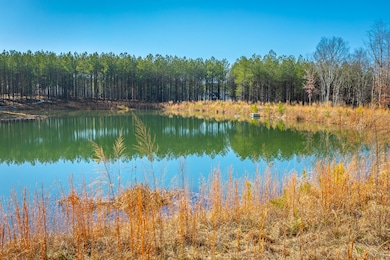 Easy pond access