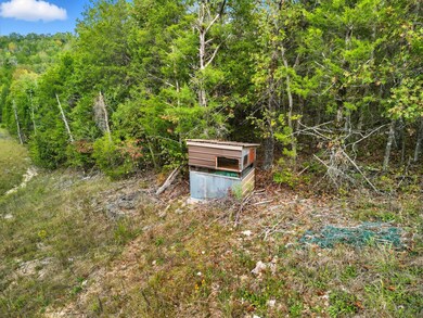 Tbd Tall Timbers Trail, Gainesville, MO 65655 - photo 3