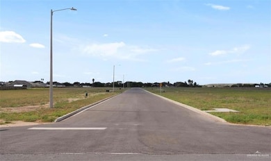 000 Sophia, Weslaco, TX 78599 - photo 2