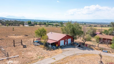 25186 Cedar Mesa Rd, Cedaredge, CO 81413 - photo 5