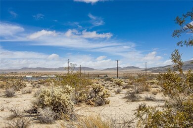 4 Mount Lassen Ave, Joshua Tree, CA 92252 - photo 7