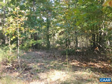 0 Black Walnut Run Rd unit 609417, Rhoadesville, VA 22542 - photo 7