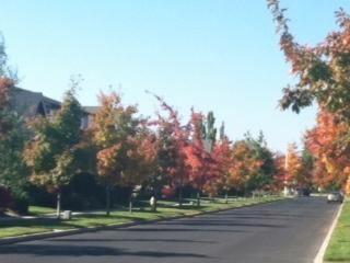 Lot 246 NW 13th St, Redmond, OR 97756 - photo 7