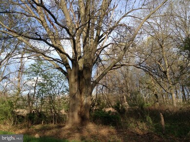 0 Junction Rd unit VASH119006, Strasburg, VA 22657 - photo 4