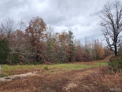 0 Carter Route 266 unit MAR24069627, Grandin, MO 63943 - photo 4