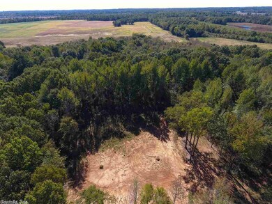 0 Purnell, Bono, AR 72416 - photo 4