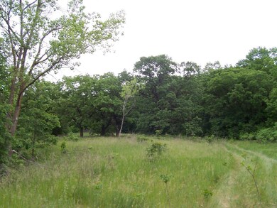 Lots of trees