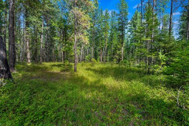 Nhn Kelley Dr, Bigfork, MT 59911 - photo 3